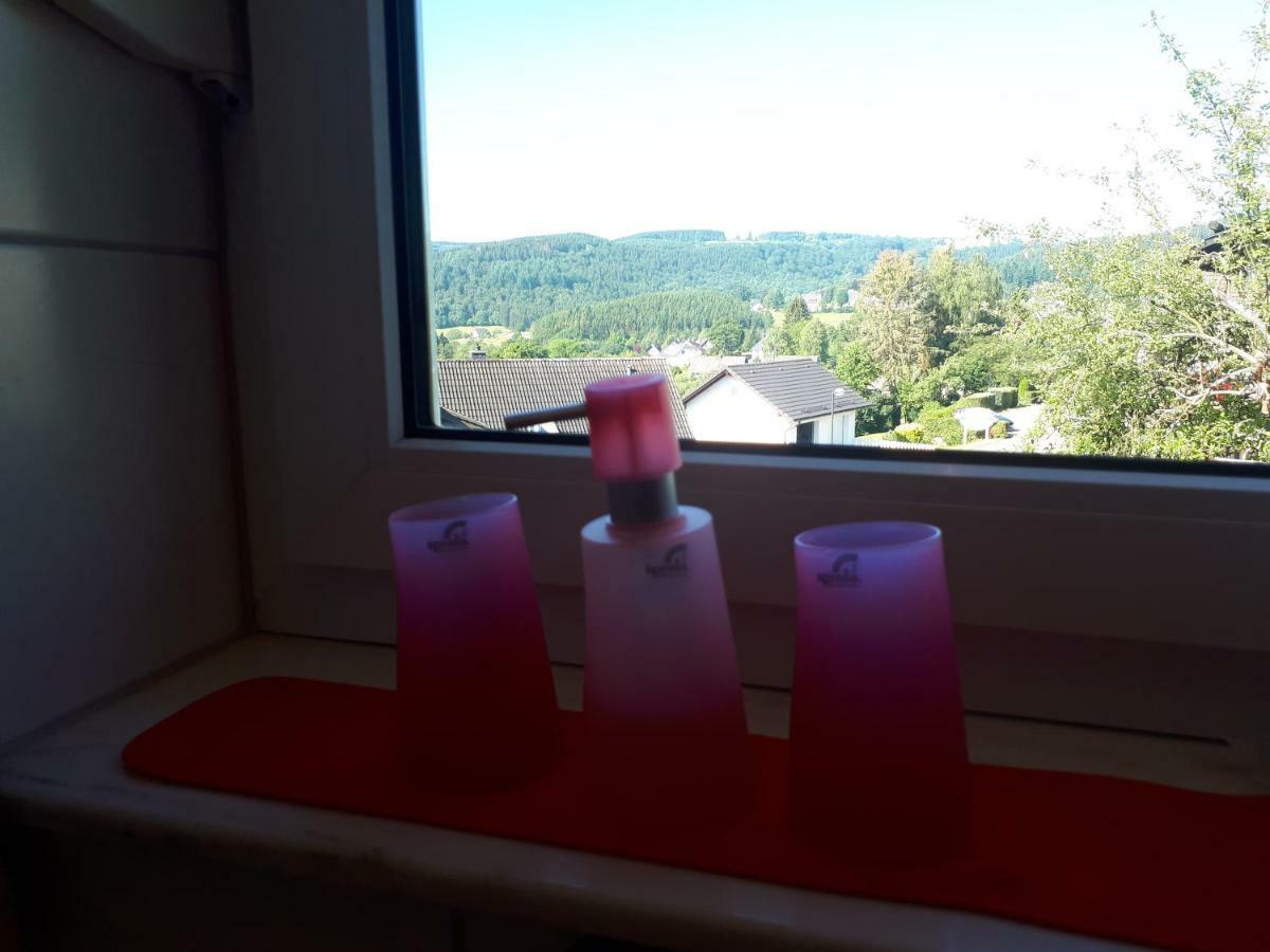 Apartmenthaus Sonnenschein Winterberg Bagian luar foto